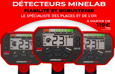 DÉTECTEURS MUTI-FRÉQUENCE MINELAB POUR TOUS